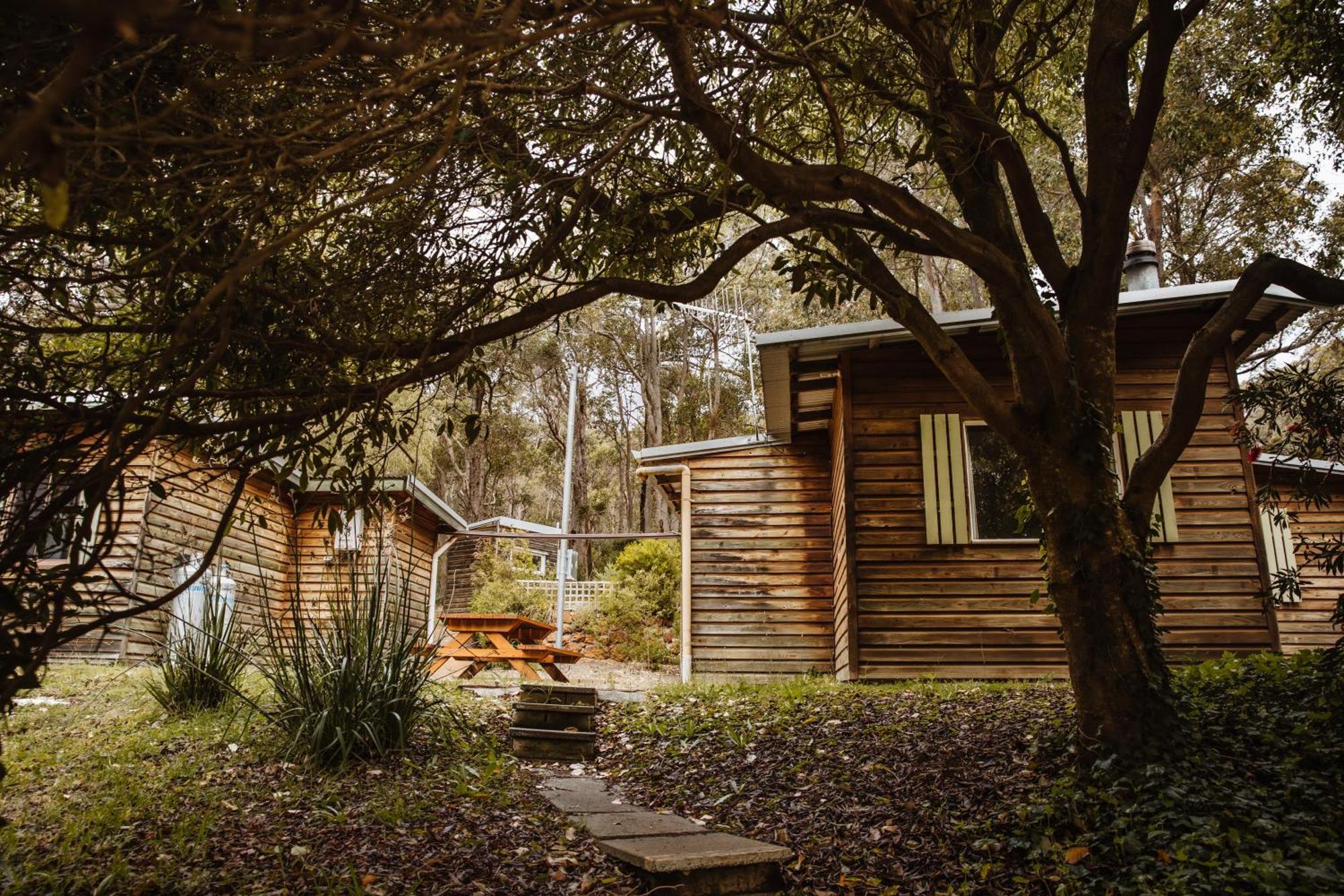 Gum Grove Chalets Denmark Room photo